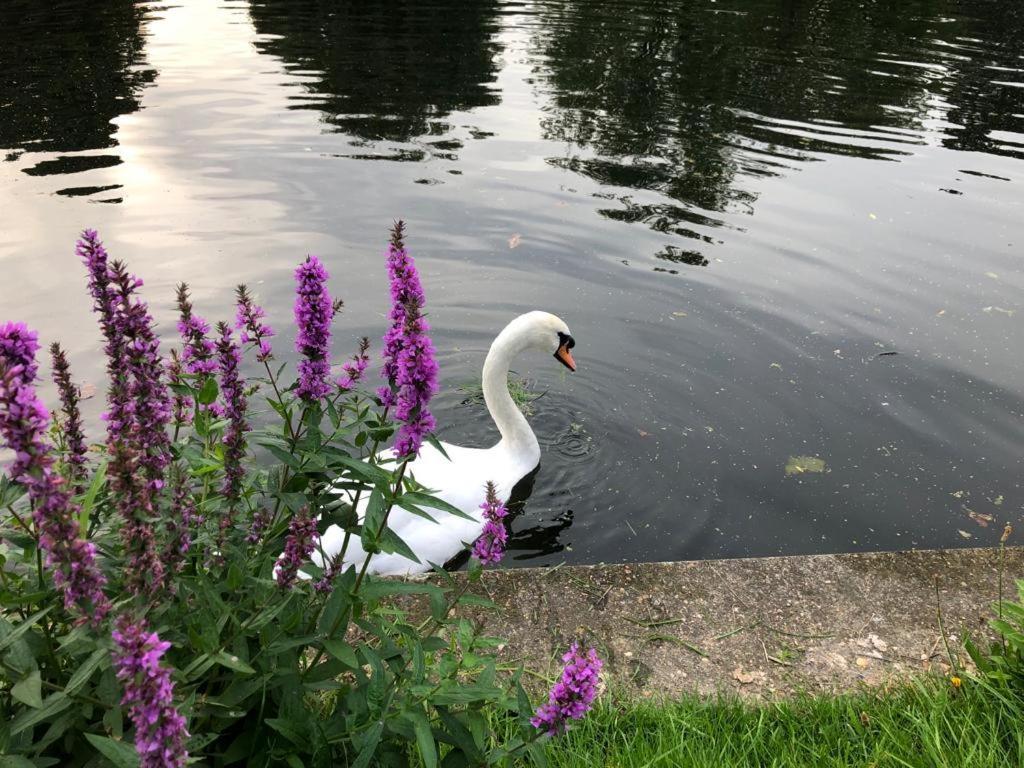 Cozy Double Bedroom In Stunning On River Thames - Near Thorpe Park/royal Holloway University/20mins From Heathrow *