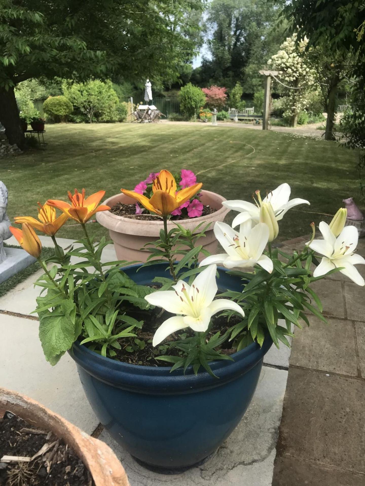 Homestay Cozy Double Bedroom In Stunning On River Thames - Near Thorpe Park/royal Holloway University/20mins From Heathrow *